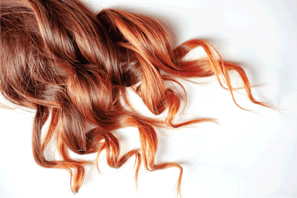 IGORA carta de colores