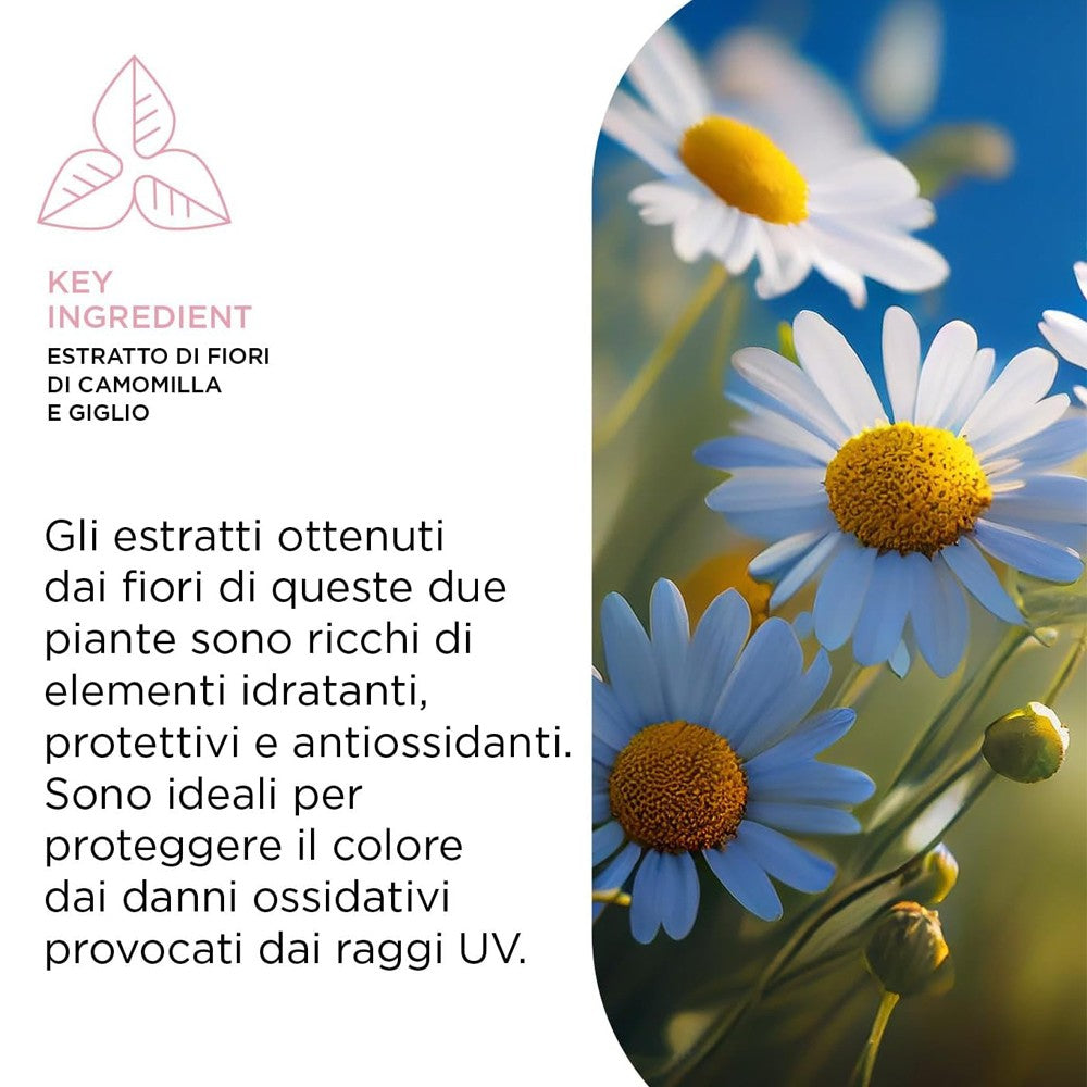 Kemon - Champú Rubios Fríos Hair Care Color Cold 250 ml