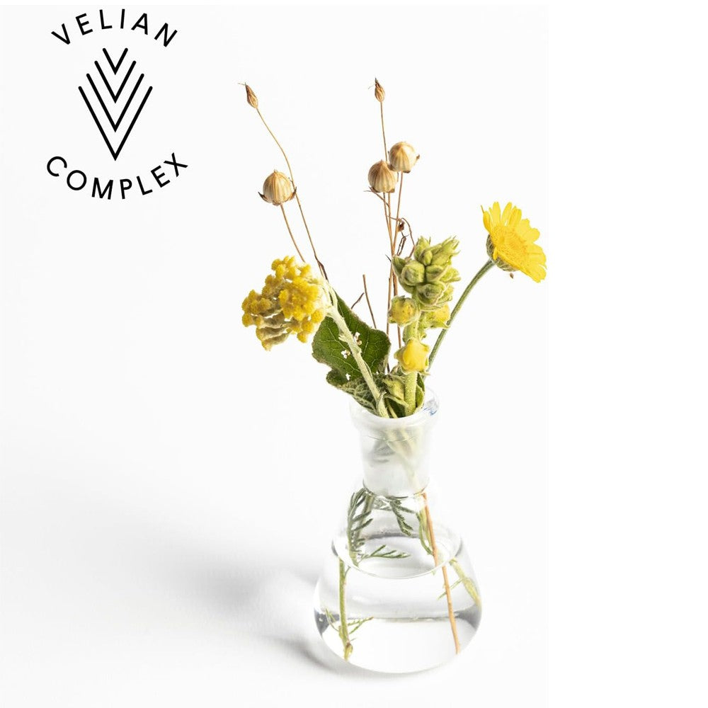 Kemon - Champú Nutritivo Hair Care Nourish 250 ml