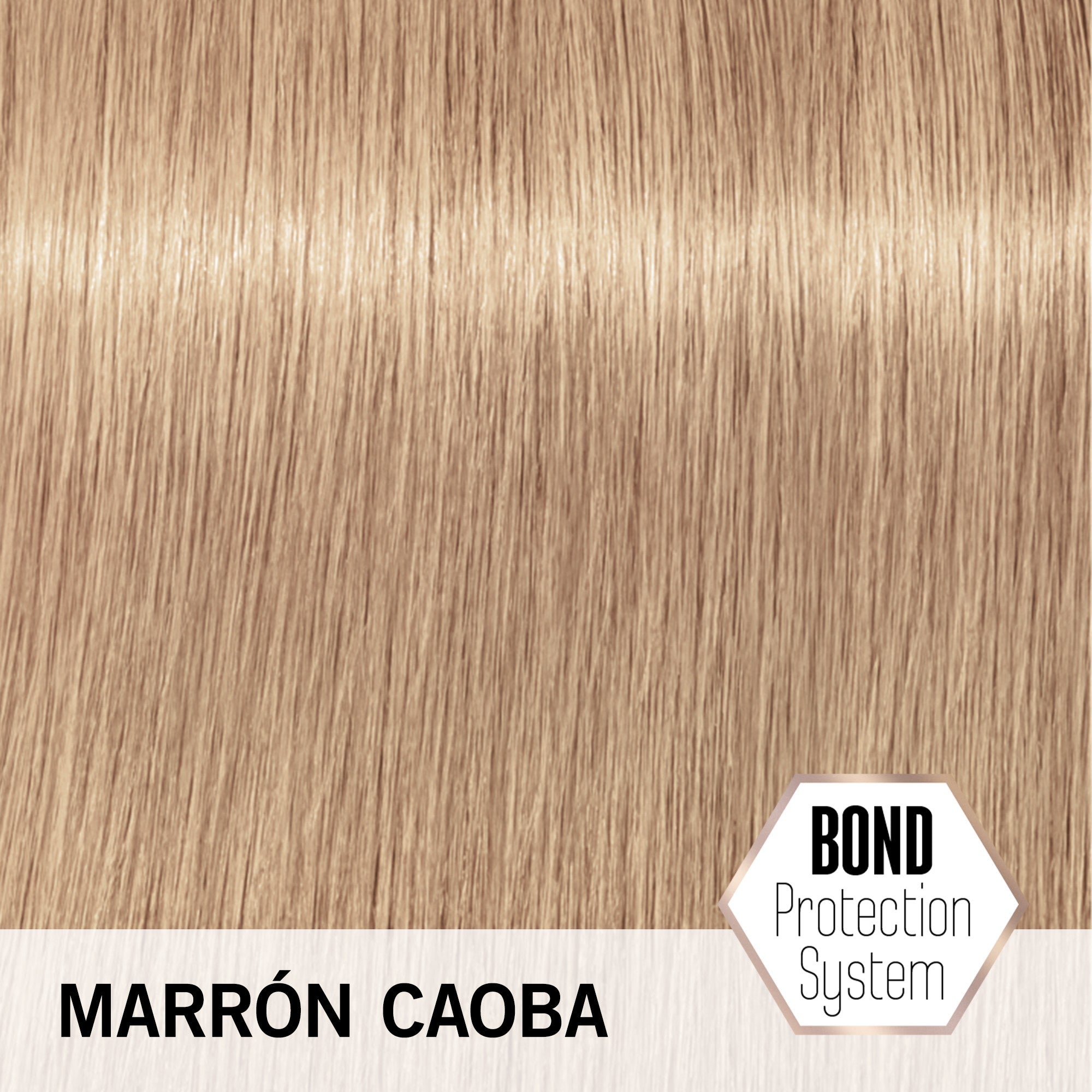 Schwarzkopf - Crema Aclarante y Tonalizante BlondMe LB-Brown Mahogany 60 ml