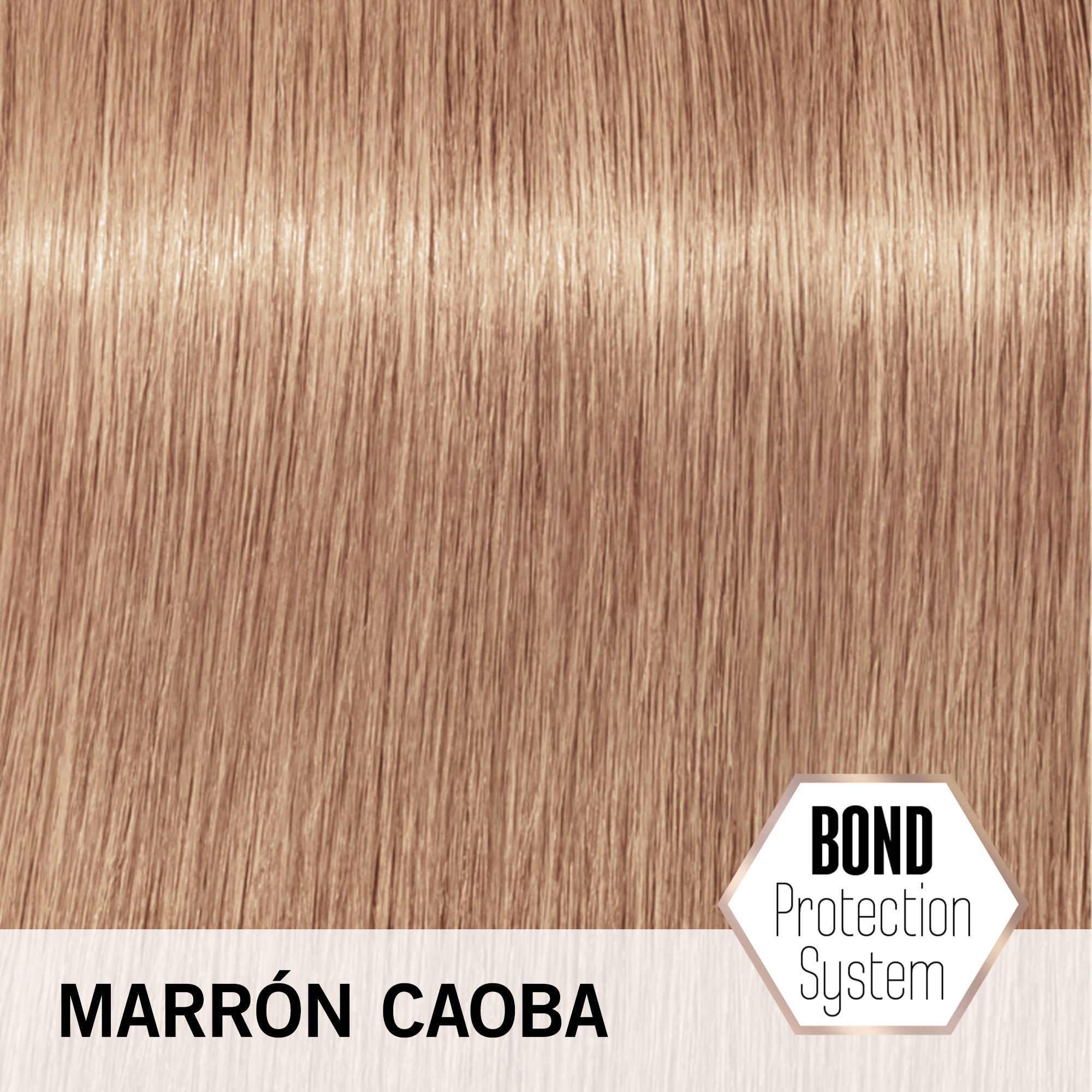 Schwarzkopf - Crema Matizadora Pastel BlondMe T-Brown Mahogany 60 ml