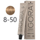 Schwarzkopf - Igora Royal Absolutes Hair Color 8-50 Light Golden Natural Blonde 60 ml